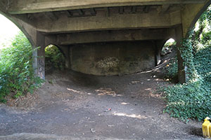 Click for previous image...