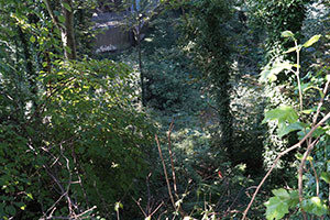 Click for next image...