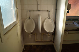 Click for previous image...