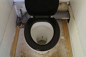 Click for previous image...