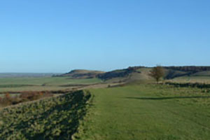 Click for next image...