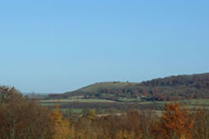 Click for next image...