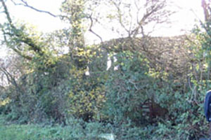 Click for previous image...