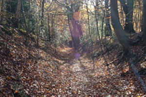 Click for next image...