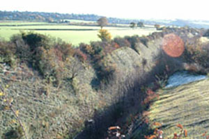 Click for next image...