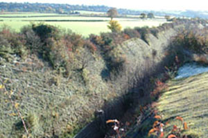 Click for next image...