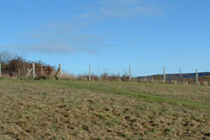 Click for previous image...