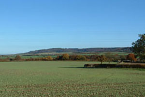 Click for next image...