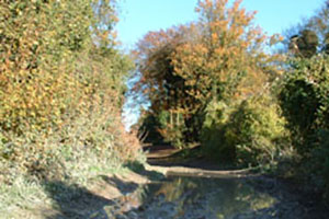 Click for previous image...