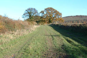 Click for previous image...