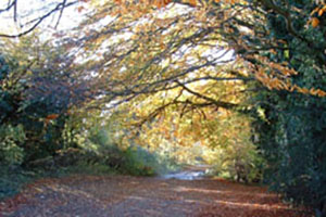 Click for next image...