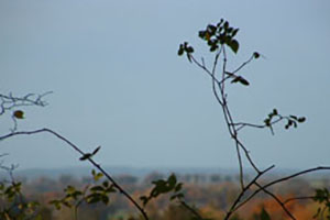 Click for next image...