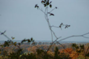 Click for previous image...