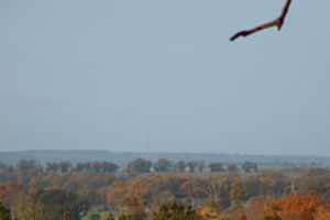 Click for next image...